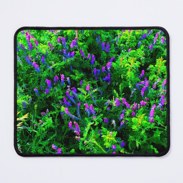 Item preview, Scenery in Piani di Ragnolo with blue fodder vetch designed and sold by Kristina Drozd.