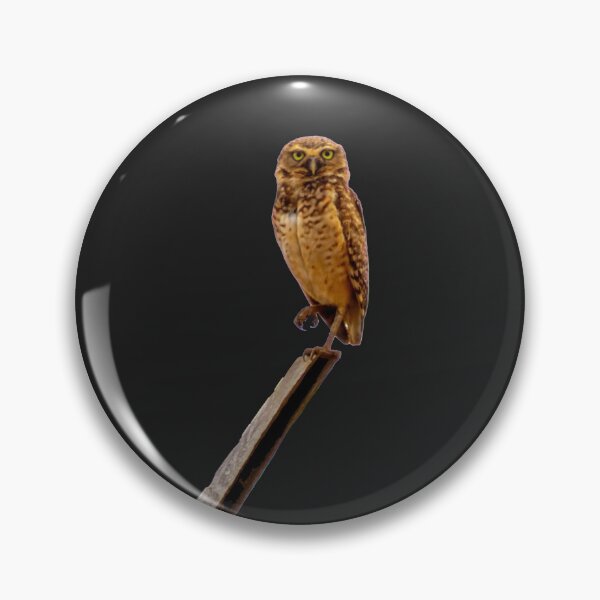 Item preview, it's nice an owl designed and sold by ricobarinas.