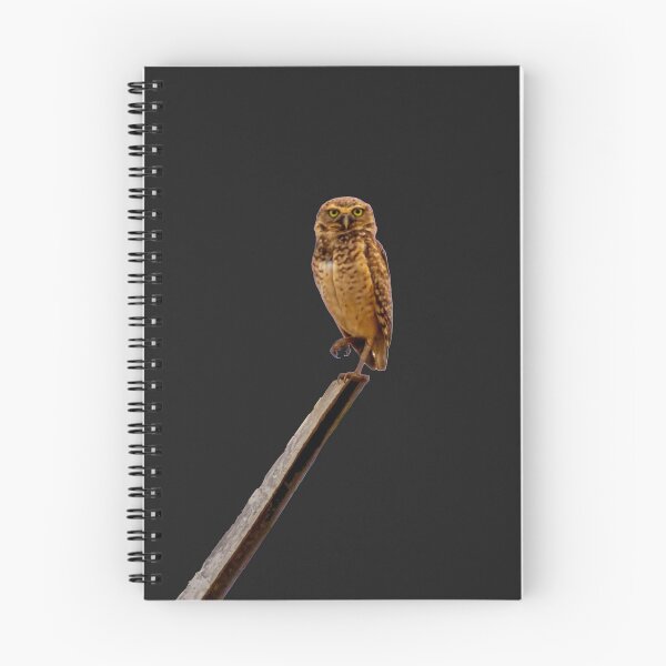 Item preview, it's nice an owl designed and sold by ricobarinas.