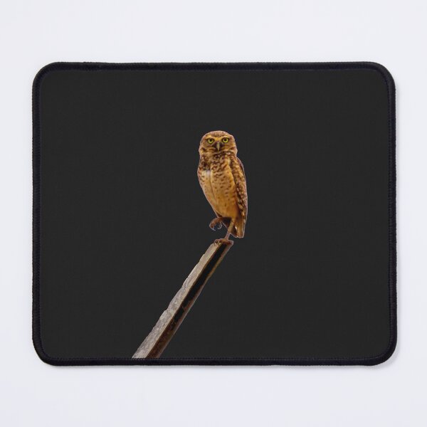 Item preview, it's nice an owl designed and sold by ricobarinas.
