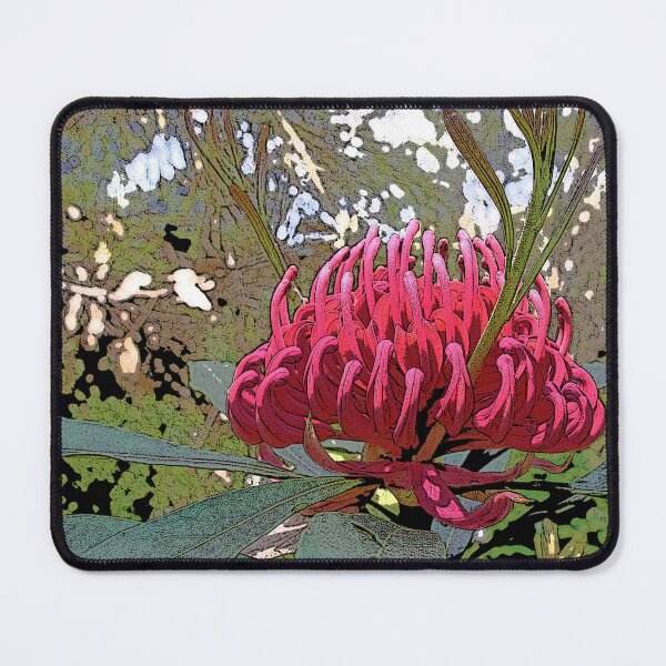 Item preview, Waratah (Telopea), NSW, Australia designed and sold by Cobargo South Coast.