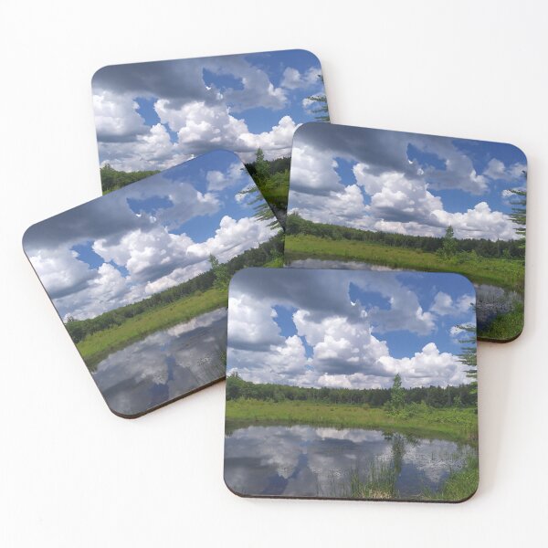 Item preview, Forrest Pond designed and sold by CatskillMeander.
