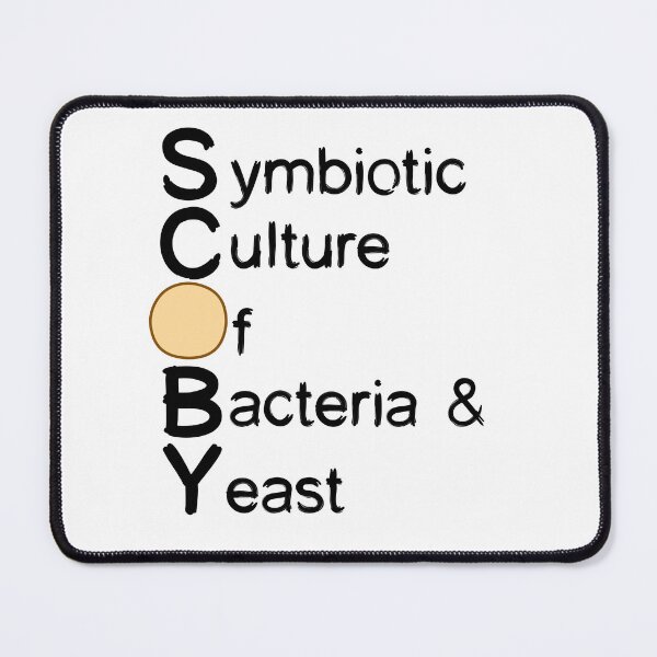 Item preview, SCOBY Acronym Design Kombucha designed and sold by KTSubz Faith & Fun Designs.