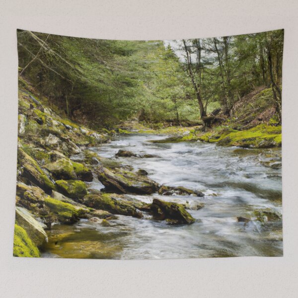 Item preview, Forest Stream designed and sold by CatskillMeander.