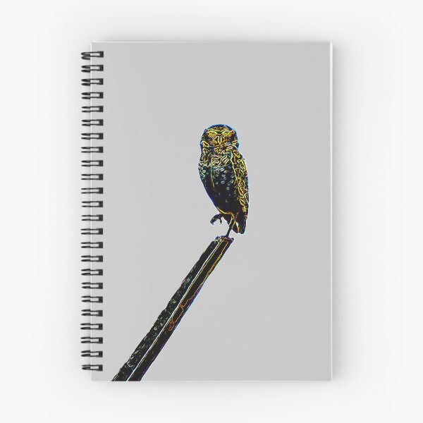 Item preview,  it's nice an owl designed and sold by ricobarinas.