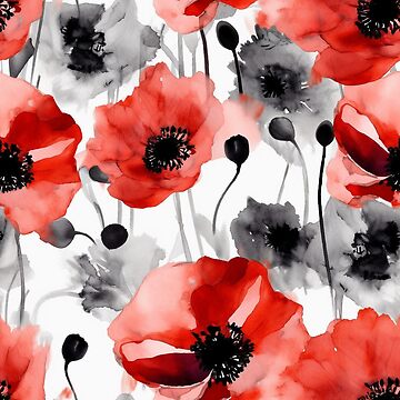 Beautiful poppies on black and white background. Flowers Red