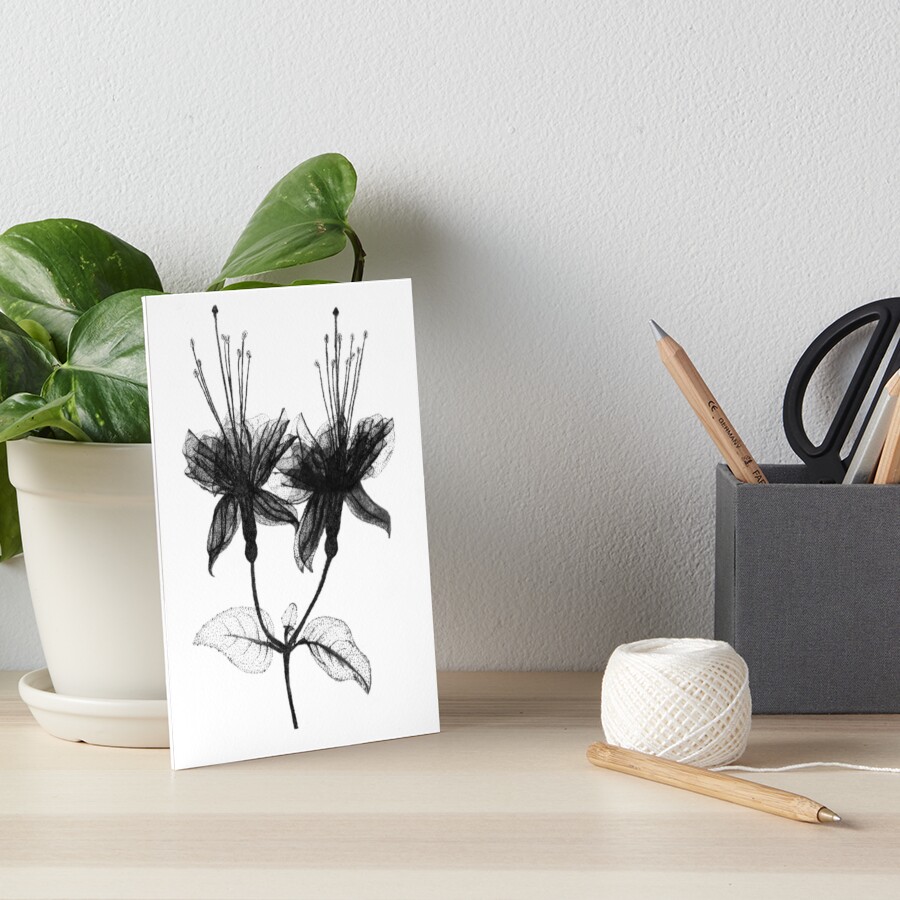 Item preview, Art Board Print designed and sold by LtTawnyMadison.