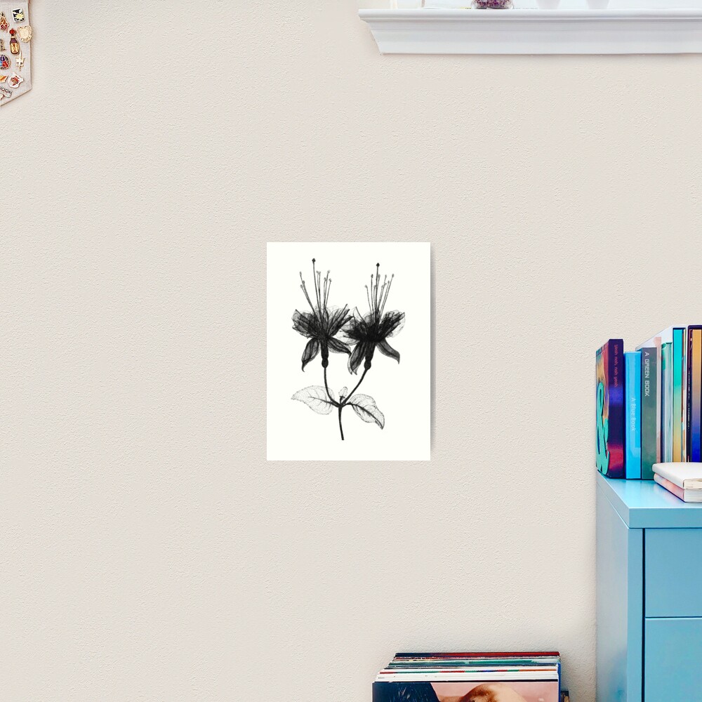 Item preview, Art Print designed and sold by LtTawnyMadison.