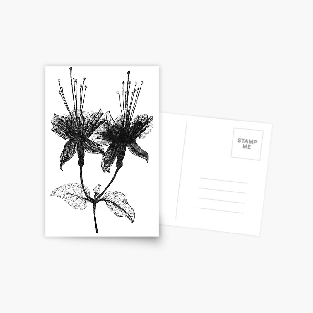 Item preview, Postcard designed and sold by LtTawnyMadison.