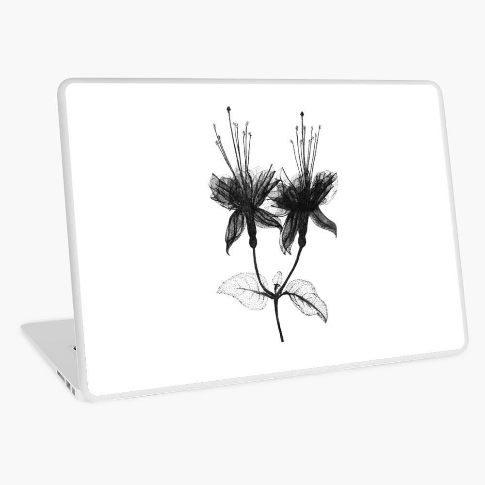 Item preview, Laptop Skin designed and sold by LtTawnyMadison.