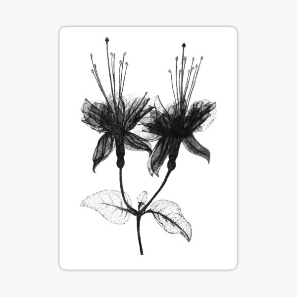 Flowers in Pointillism Sticker