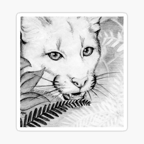 Florida Panther Sticker