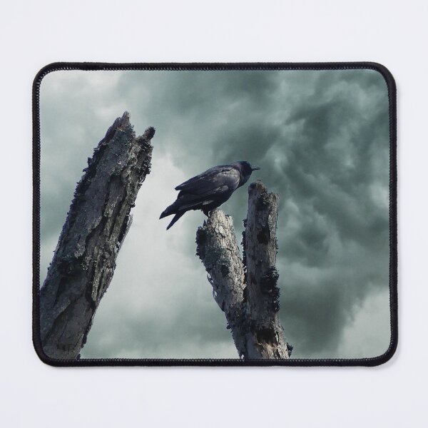 Item preview, Stormy Crow designed and sold by Frankie Cat Photography.