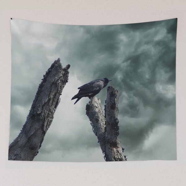 Item preview, Stormy Crow designed and sold by Frankie Cat Photography.