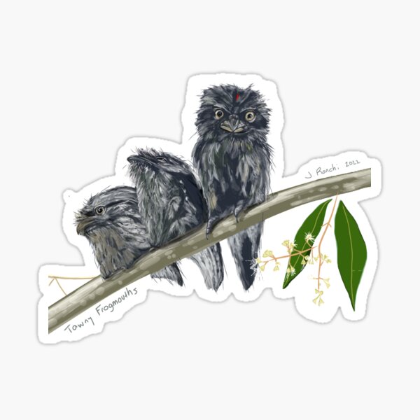 Item preview, Tawny Frogmouth Christmas designed and sold by JRon ..