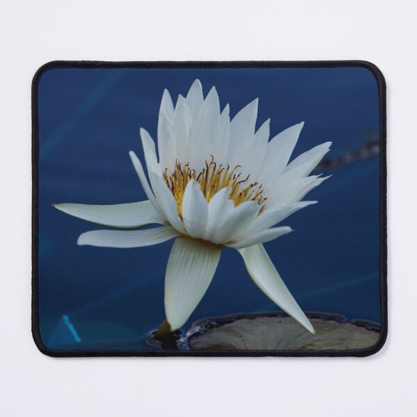 Item preview, Hovering designed and sold by Robert Armendariz.