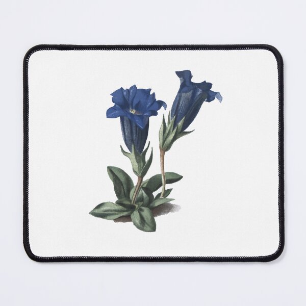 Item preview, Stemless Gentian designed and sold by EcoscienceArt.