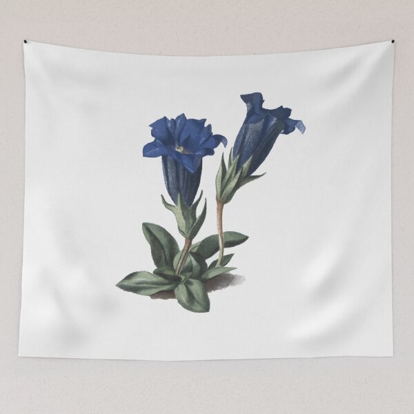 Item preview, Stemless Gentian  designed and sold by EcoscienceArt.