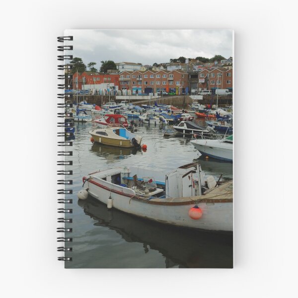 Item preview, PAIGNTON HARBOUR designed and sold by andrewsaxton.