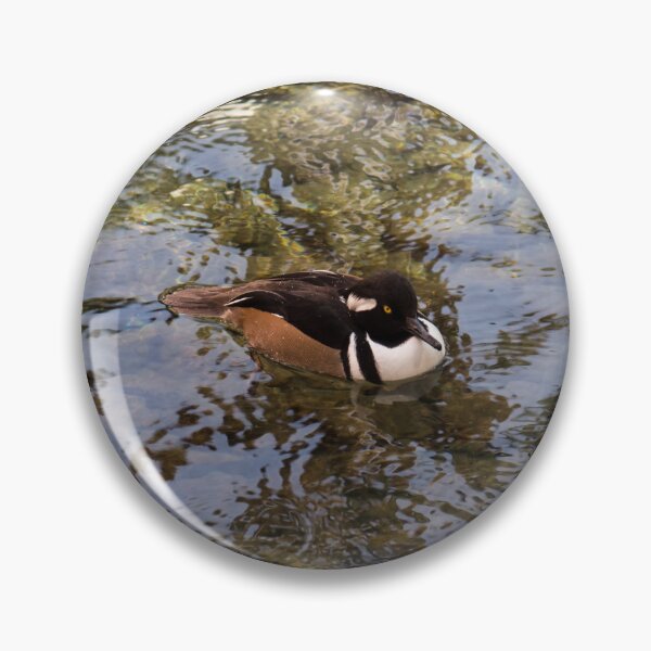 Item preview, Cute Hooded Merganser Duck on Silky Ripples designed and sold by Georgia Mizuleva.