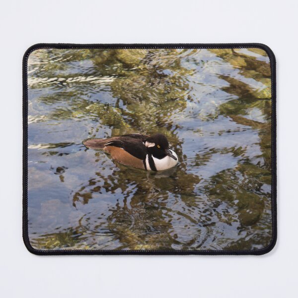 Item preview, Cute Hooded Merganser Duck on Silky Ripples designed and sold by Georgia Mizuleva.