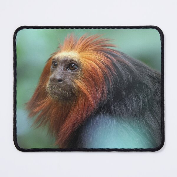 Item preview, Golden Lion Tamarin designed and sold by LeanneAllen.
