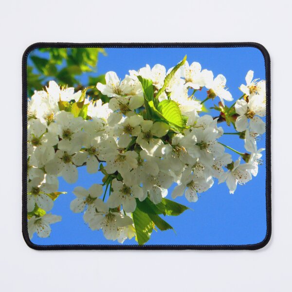 Item preview, Cherry Orchard Blossoms designed and sold by angel1.