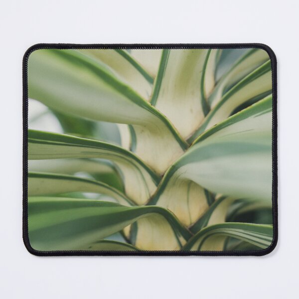 Item preview, Yucca designed and sold by Jacquiamber.