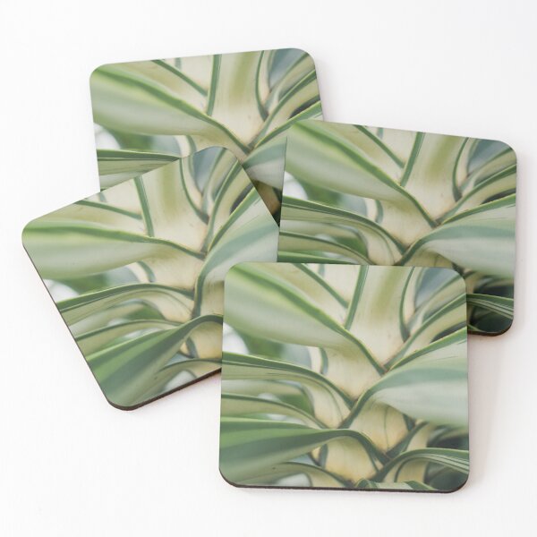Item preview, Yucca designed and sold by Jacquiamber.