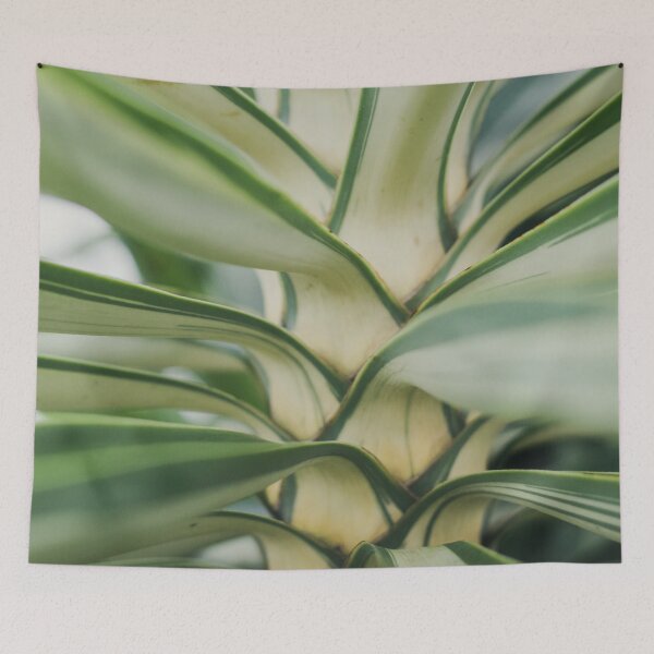Item preview, Yucca designed and sold by Jacquiamber.
