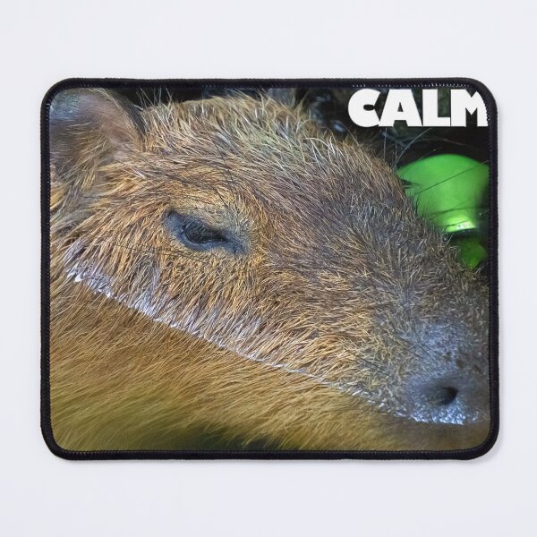 Item preview, A capybara's life designed and sold by likbatonboot.