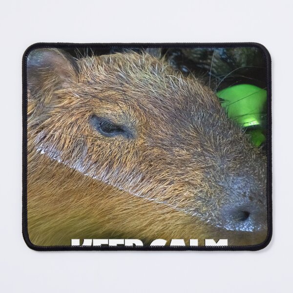 Item preview, A capybara's life designed and sold by likbatonboot.