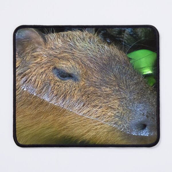 Item preview, A capybara's life designed and sold by likbatonboot.