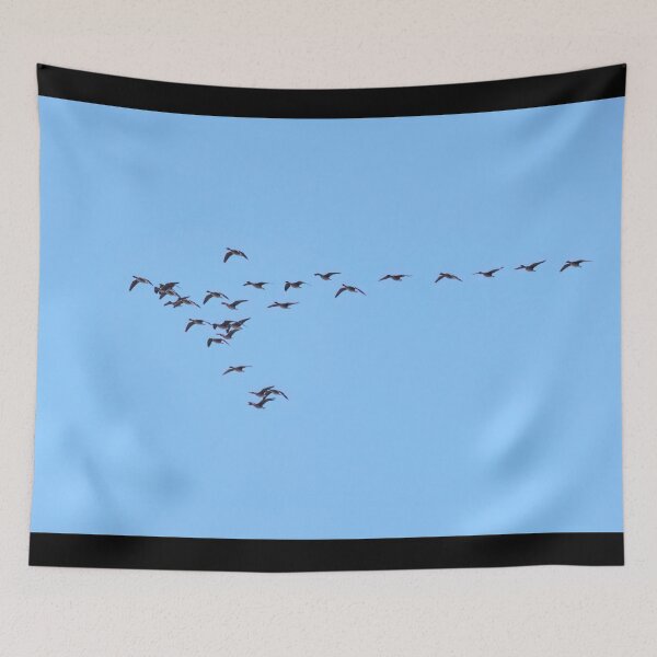 Item preview, Taiga bean goose flock designed and sold by Jouko Lehto Photography.