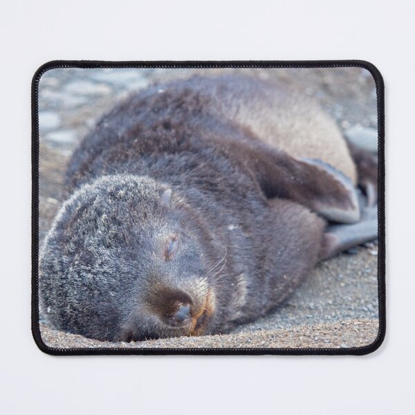 Item preview, I Need my Beauty Sleep... designed and sold by Krys Bailey.
