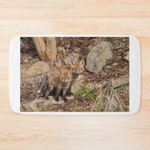 Item preview, Fox kit brothers designed and sold by James Cumming.