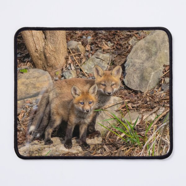 Item preview, Fox kit brothers designed and sold by James Cumming.