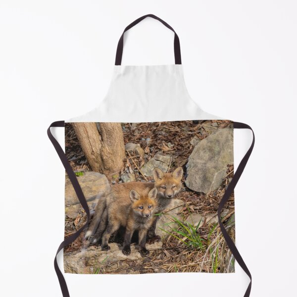 Item preview, Fox kit brothers designed and sold by James Cumming.