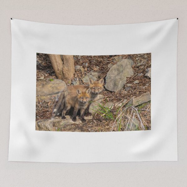 Item preview, Fox kit brothers designed and sold by James Cumming.