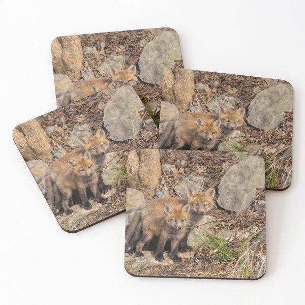 Item preview, Fox kit brothers designed and sold by James Cumming.