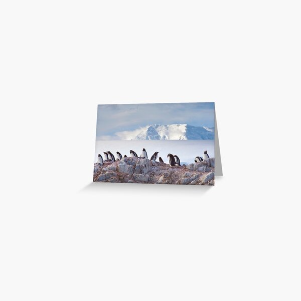 Item preview, The Creche (Gentoo Penguins, Port Lockroy, Antarctica) designed and sold by Krys Bailey.