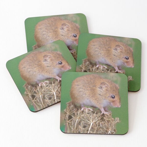 Item preview, Seedhead Seat designed and sold by Krys Bailey.