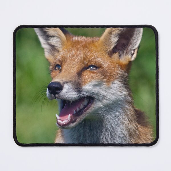 Item preview, I love Jokes! Tell me Another!!! ;o) designed and sold by Krys Bailey.