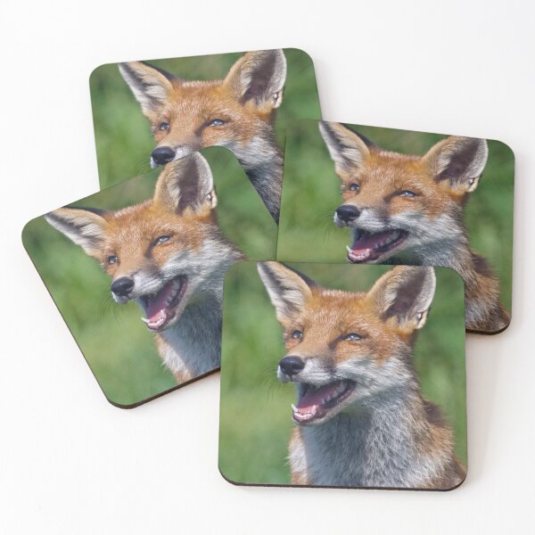 Item preview, I love Jokes! Tell me Another!!! ;o) designed and sold by Krys Bailey.