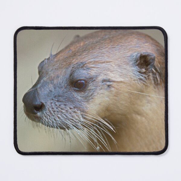 Item preview, Whiskers designed and sold by Krys Bailey.