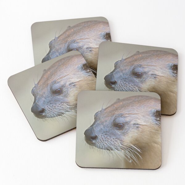 Item preview, Whiskers designed and sold by Krys Bailey.