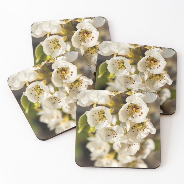 Item preview, Pear Blossom designed and sold by JEZ22.