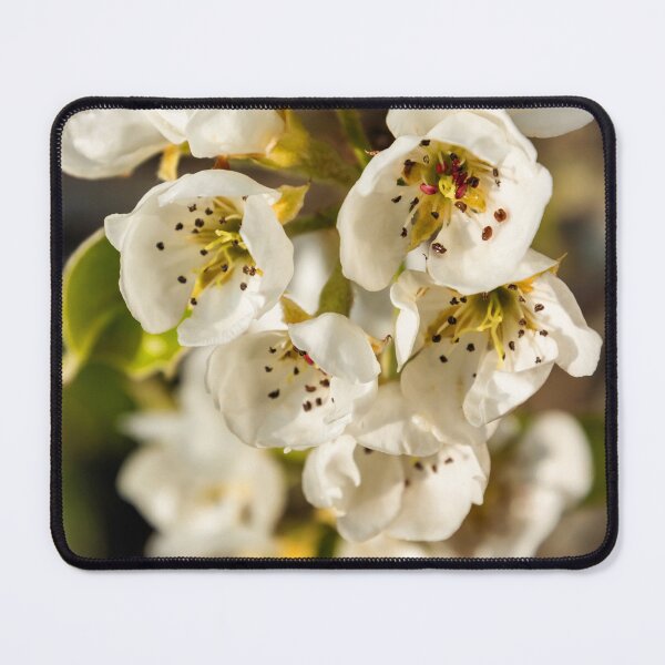 Item preview, Pear Blossom designed and sold by JEZ22.