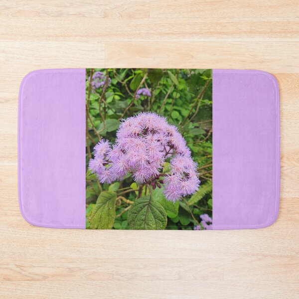 Item preview, Bartlettina Sordida or Blue Mist designed and sold by Claire L Page Photography.