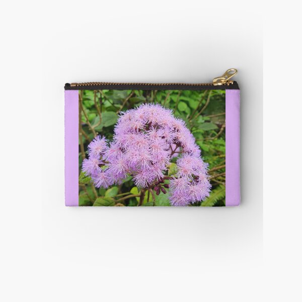 Item preview, Bartlettina Sordida or Blue Mist designed and sold by Claire L Page Photography.